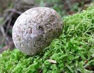 A Rolling Stone Gather's No Moss